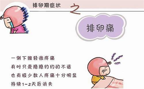 澳门威尼克斯人网站